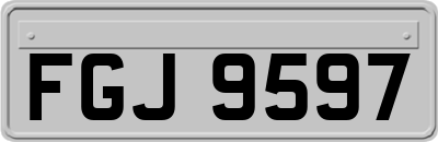 FGJ9597