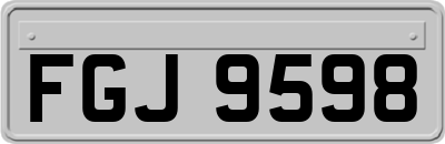 FGJ9598