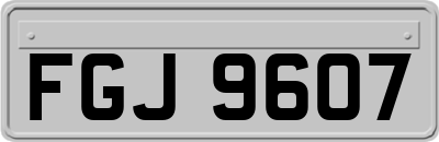 FGJ9607
