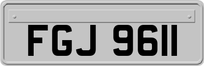 FGJ9611