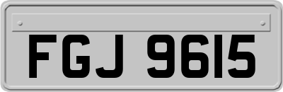 FGJ9615