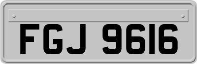 FGJ9616