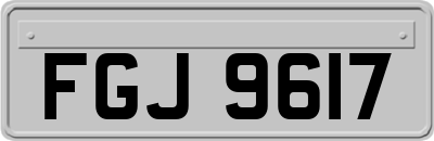 FGJ9617