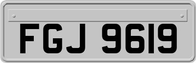 FGJ9619