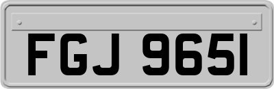 FGJ9651
