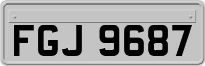 FGJ9687