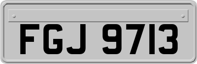 FGJ9713