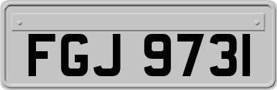 FGJ9731