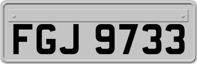 FGJ9733