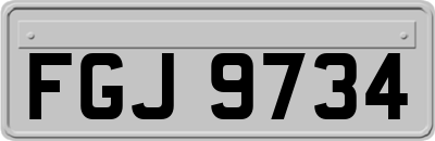 FGJ9734