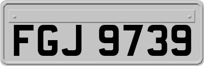 FGJ9739