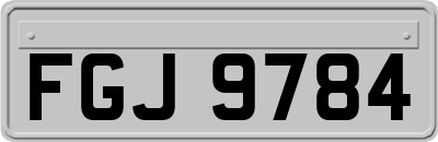 FGJ9784
