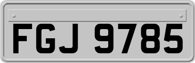 FGJ9785