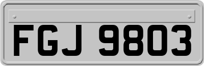FGJ9803
