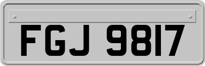FGJ9817