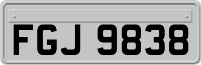 FGJ9838