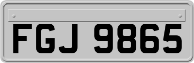 FGJ9865