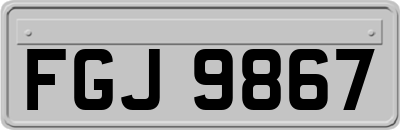 FGJ9867