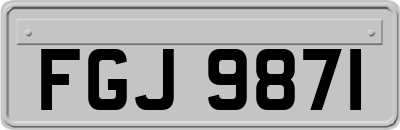 FGJ9871