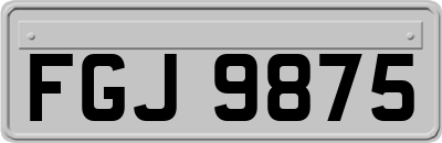 FGJ9875