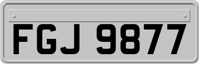 FGJ9877