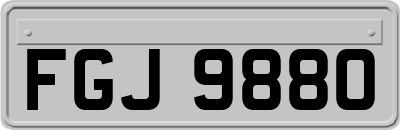 FGJ9880
