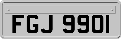 FGJ9901