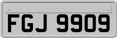FGJ9909