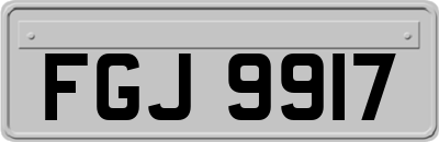 FGJ9917