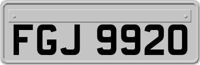 FGJ9920