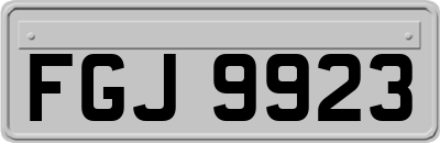 FGJ9923