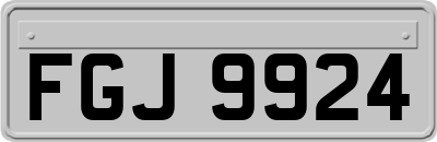 FGJ9924