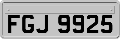 FGJ9925