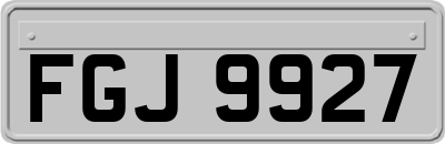 FGJ9927