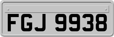 FGJ9938