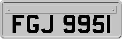 FGJ9951