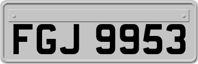 FGJ9953