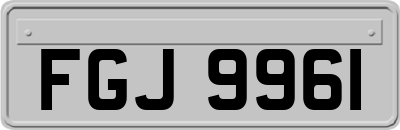 FGJ9961