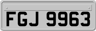 FGJ9963