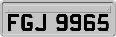 FGJ9965