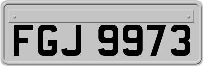 FGJ9973