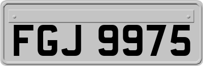 FGJ9975