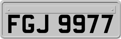 FGJ9977