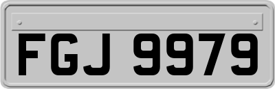 FGJ9979