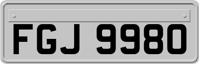 FGJ9980