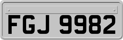 FGJ9982