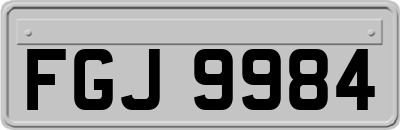 FGJ9984