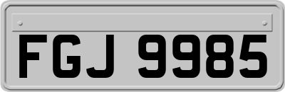 FGJ9985