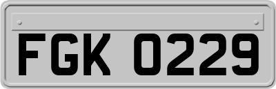 FGK0229