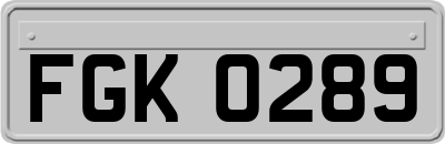 FGK0289